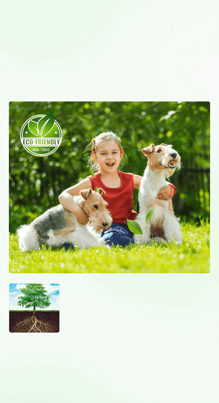 Cyclosinone Herbicide Granules ( Pack Of 2 )