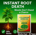 Cyclosinone Herbicide Granules ( Pack Of 2 )